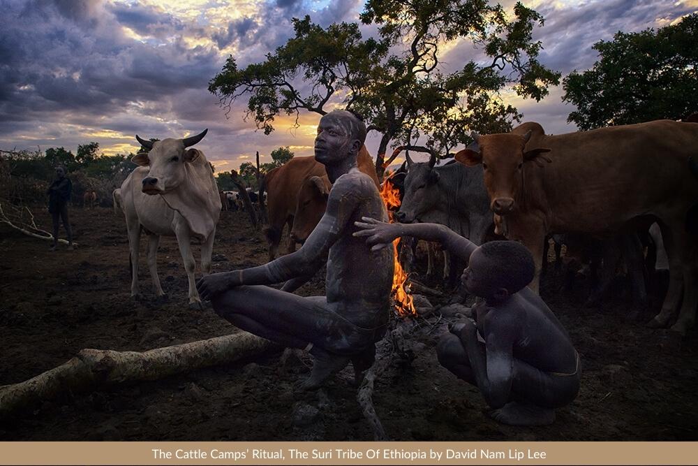 The Cattle Camps’ Ritual, The Suri Tribe Of Ethiopia by David Nam Lip Lee